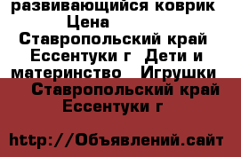 развивающийся коврик › Цена ­ 1 800 - Ставропольский край, Ессентуки г. Дети и материнство » Игрушки   . Ставропольский край,Ессентуки г.